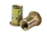 CAH2-2520-260, Rivetnut Insert, 1/4-20 UNC-2B (.165-.260 Grip) Semi-Hex Body, Pack of 40