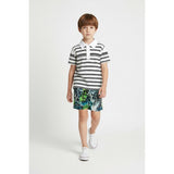 Roots Swim Trunks Boy Small (8) Blue Green Beach Scene Mesh Lined Swim Shorts
