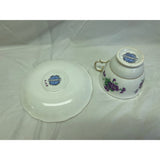 Colclough Teacup Saucer Set Purple Violets Bone China England