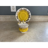 Royal Albert Yellow Regal Series Bone China Tea Cup And Saucer Set