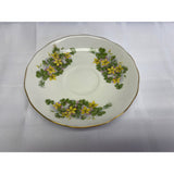 Queen Anne Fine Bone China Teacup and Saucer Set Yellow green floral