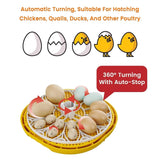 TRIOCOTTAGE M12 Egg Incubator, Auto Turning