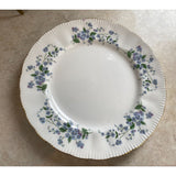 Paragon Forget Me -Not By Appointment To Her Majesty The Queen 10.5 "Dinner Plate