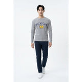 Michigan State University Grey Long Sleeve Medium  Pullover Shirt